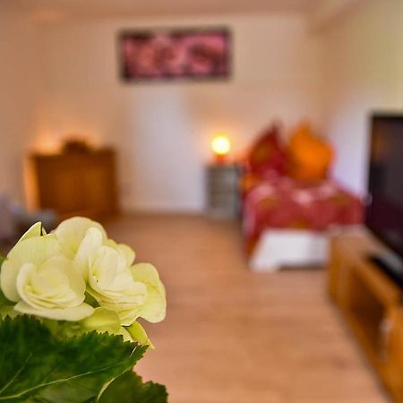 Wohnung Mit Wohlfuehlcharakter Idar-Oberstein Luaran gambar
